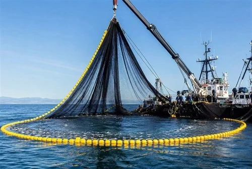 Redes de cerco com retenida para operações de pesca comercial